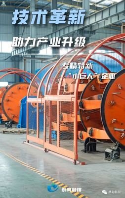 掌握核心技術，蔡甸電纜生產(chǎn)“小巨人”淡季不淡的啟示